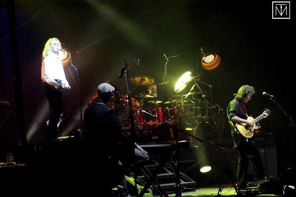 A picture of a Steve Hackett gig