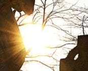 A picture of the sun