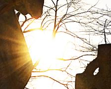 A picture of the sun