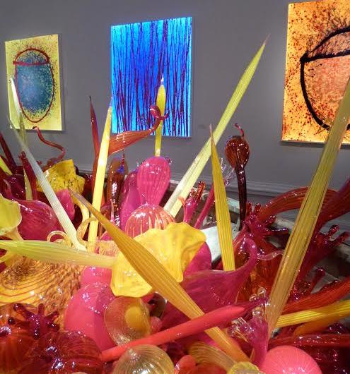Halcyon gallery image 1