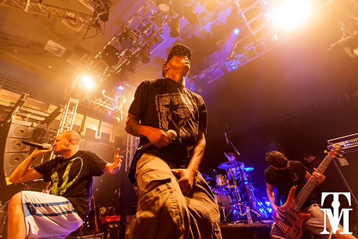 Hacktivist a
