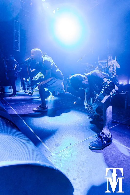 Hacktivist c