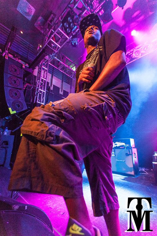 Hacktivist f