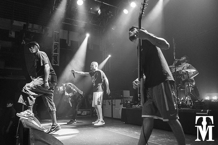Hacktivist g
