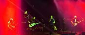 The Skids