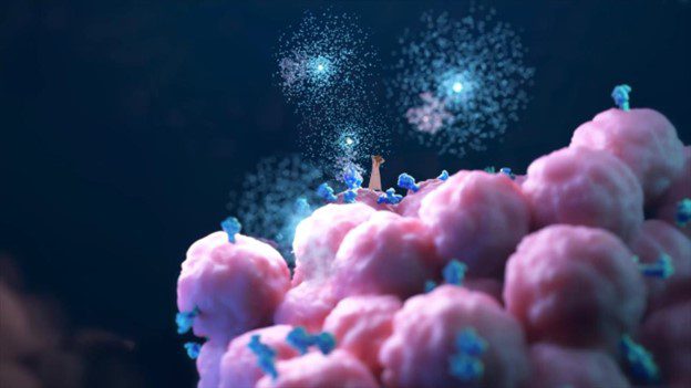 The possibilities of reversing the aging process