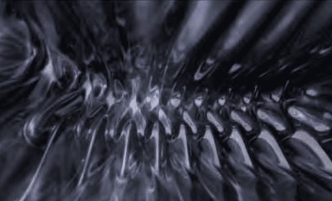 Vesna Petresin, Structure in Flux, 2010