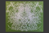 Digswell artist Molly Hagan's artwork