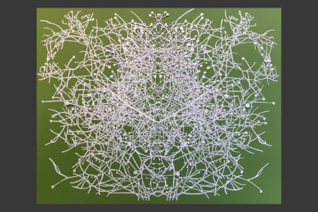 Digswell artist Molly Hagan's artwork