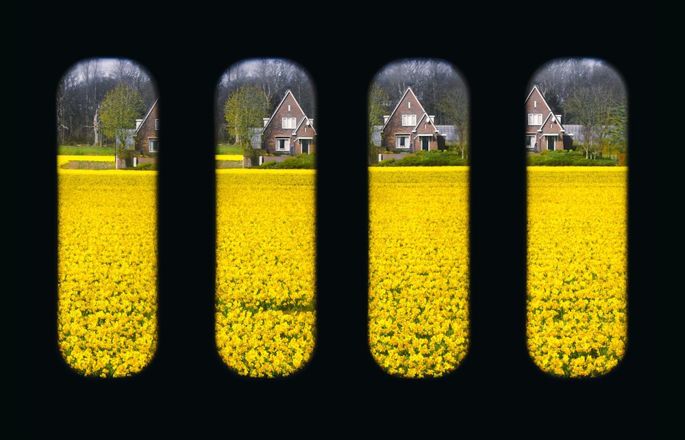 Katie Edwards, Rows of 4