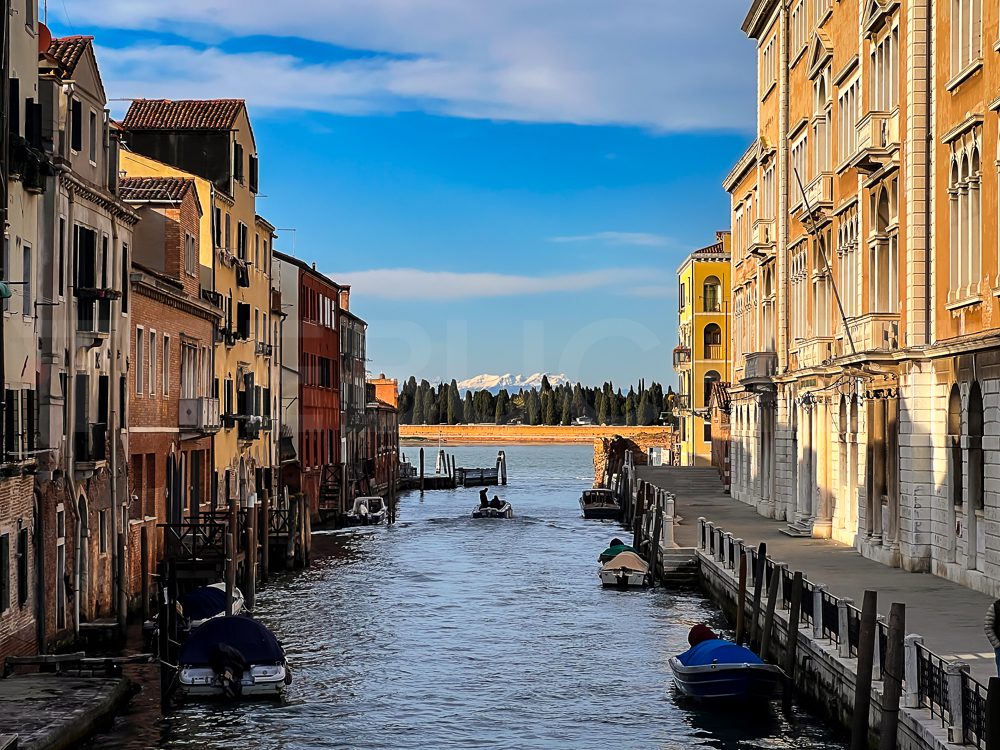 Venice 2026