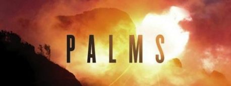 A picture of Palms