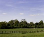 A picture of a field by Carl Byron Batson