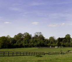 A picture of a field by Carl Byron Batson