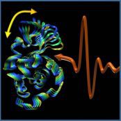 A picture of vibrations by University of Buffalo