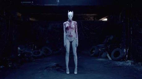 die antwoord, pitbull terrier
