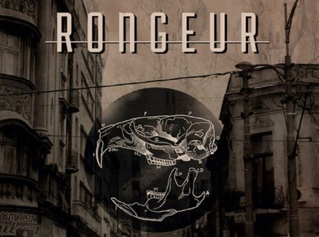 Rongeur