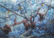 Jim Naughten, Orangutans, 2021